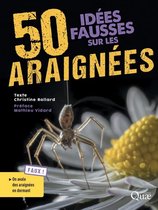 Idées fausses - 50 idées fausses sur les araignées