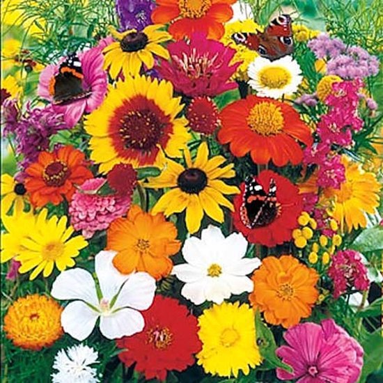 Germisem Climbing Bloemen Mix Zaden 10 g
