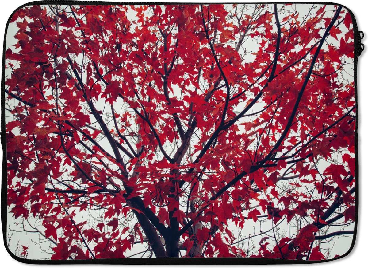Laptophoes 14 inch - Esdoorn - Bladeren - Herfst - Natuur - Laptop sleeve - Binnenmaat 33x23 cm - Zwarte achterkant