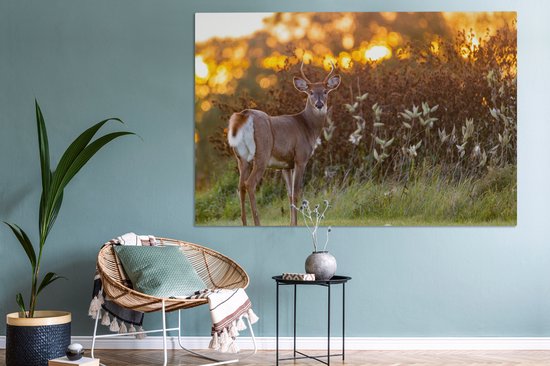 Canvas - Hert - Heide - Natuur - Zonsondergang - Schilderijen op canvas - Landschap - 150x100 cm - Canvas schilderij dieren - Foto op canvas