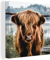 Toile - Highlander écossais - Animaux - Vache - Nature - Water - Décoration murale - Peintures sur toile - Peintures salon - 50x50 cm