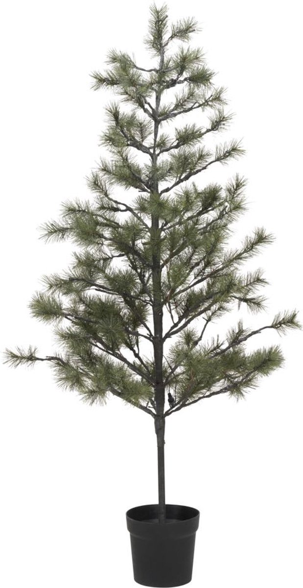 House Doctor Kerstboom Peuce natuur 180cm