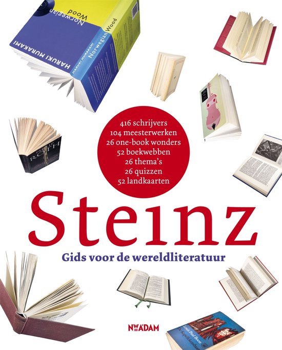 Steinz - cover