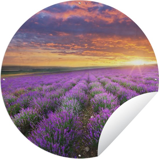 Tuinposter | Lavendel bloemenveld | Wolken | Liggend