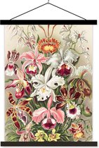 Posterhanger inclusief Poster - Vintage - Ernst Haeckel - Bloemen - Botanisch - Boho - Bohemian decoratie - Ibiza style - Zwarte latten - 60x80
