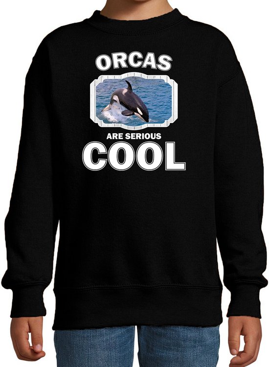 Dieren orka walvissen sweater zwart kinderen - orcas are serious cool trui jongens/ meisjes - cadeau grote orka/ orka walvissen liefhebber - kinderkleding / kleding 170/176