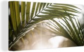 Canvas Schilderij Palmboom - Palmblad - Zon - Zomer - 80x40 cm - Wanddecoratie