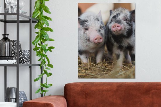 Canvas schilderij 60x80 cm - Wanddecoratie Varken - Dieren - Varkentje - Muurdecoratie woonkamer - Slaapkamer decoratie - Kamer accessoires - Schilderijen