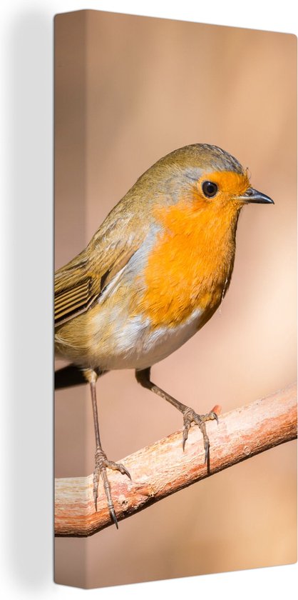 Toile Peinture Vogel - Branche - Rouge-gorge - 20x40 cm - Décoration murale