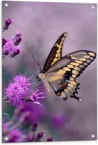 WallClassics - Tuinposter – Vlinder op Paarse Bloem - 60x90 cm Foto op Tuinposter  (wanddecoratie voor buiten en binnen)