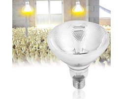 Infrarood Glas Lamp - Verwarmingslamp Reptiel - Stabiele Warmte - Explosieveilig Ontwerp - Diameter 12cm - Wit