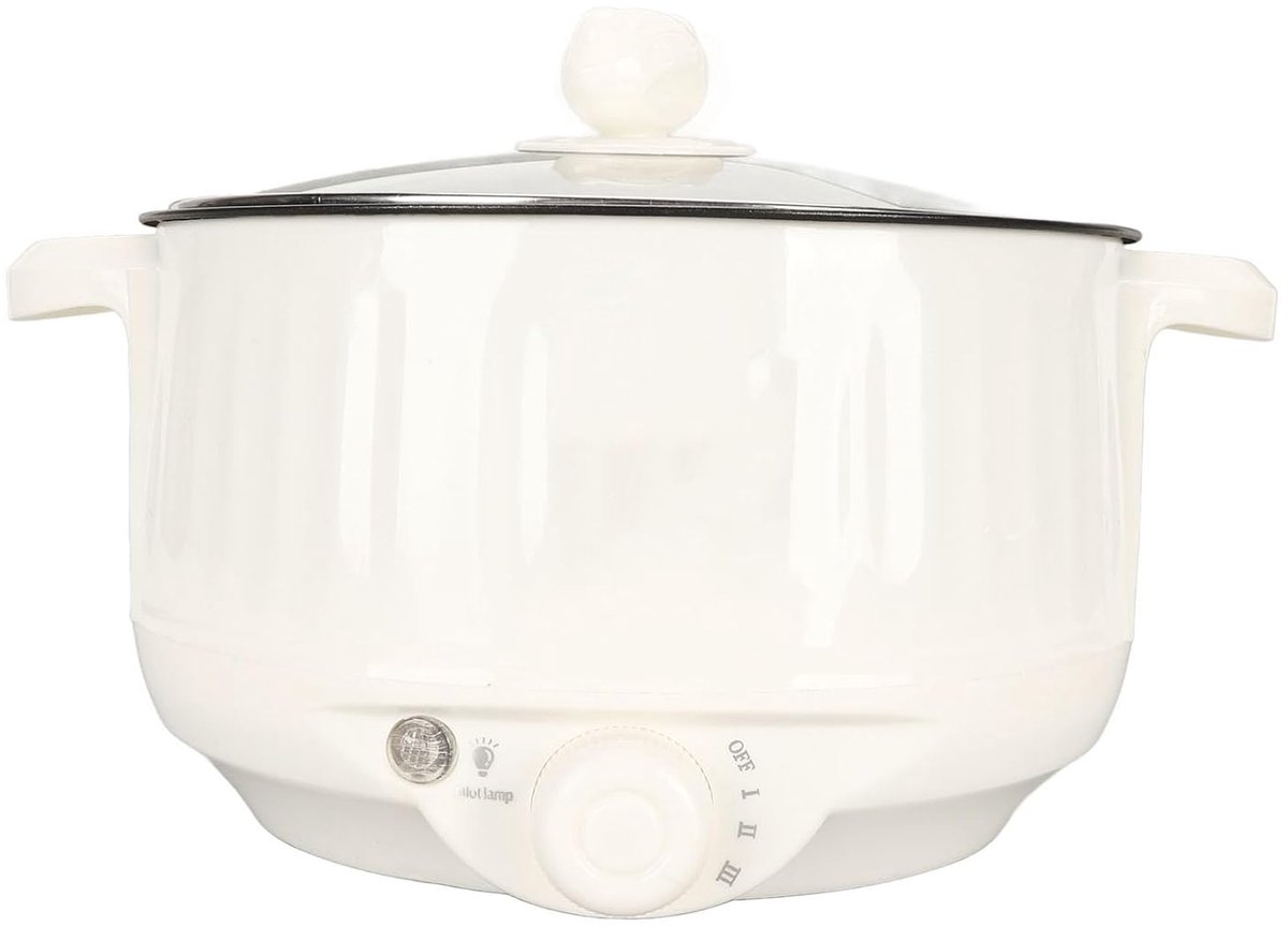Elektrische Kookpot - Hete Pan - Snel Koken - Draagbaar Ontwerp - 2 Liter - RVS