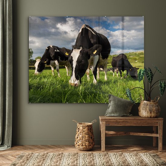 Vaches frisonnes regardant au soleil Plexiglas 160x120 cm - Tirage photo sur Glas (décoration murale plexiglas) XXL / Groot format!