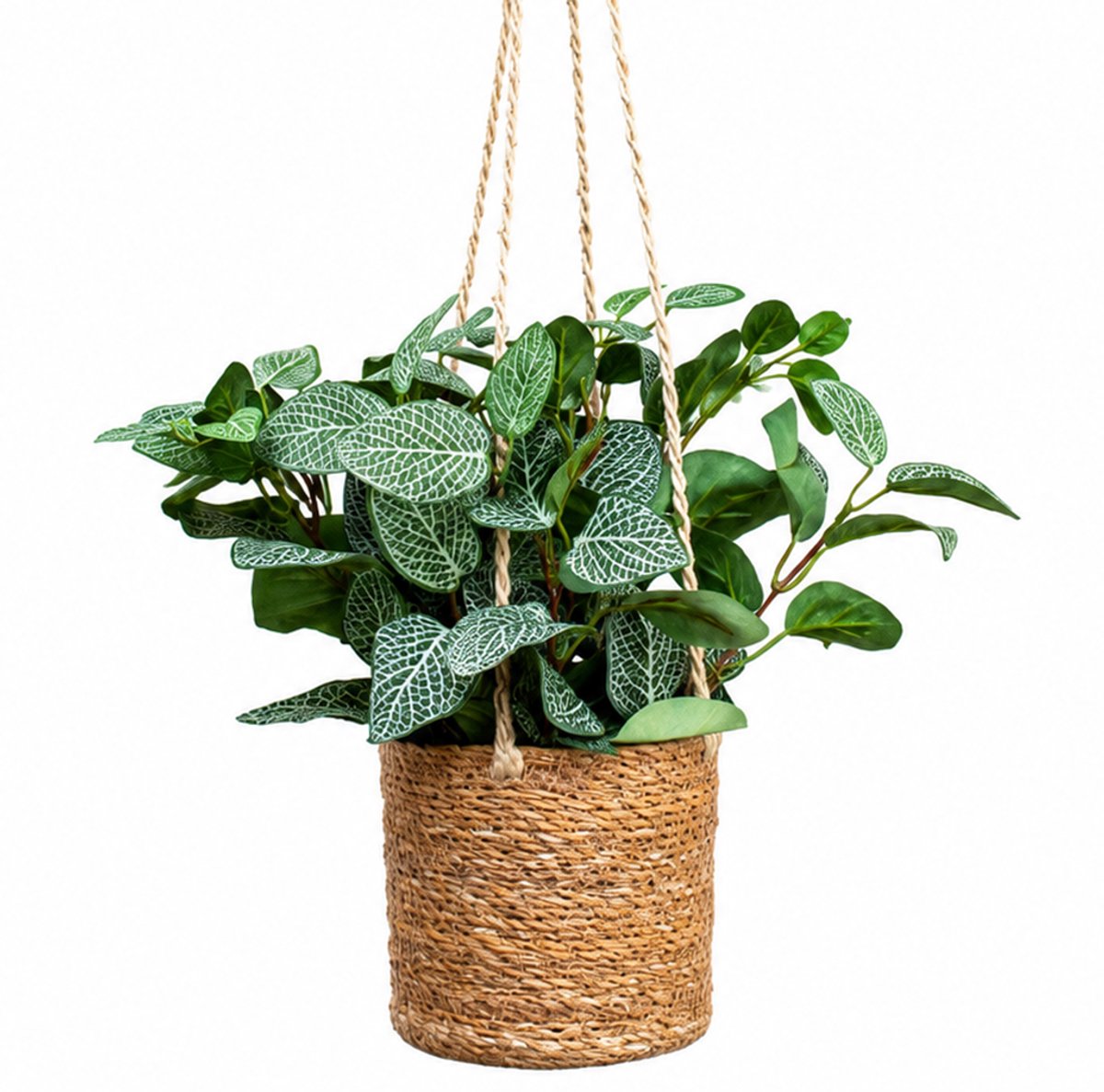 HTT Decorations Kunstplant Pilea bush in hangmand naturel L100cm Groen
