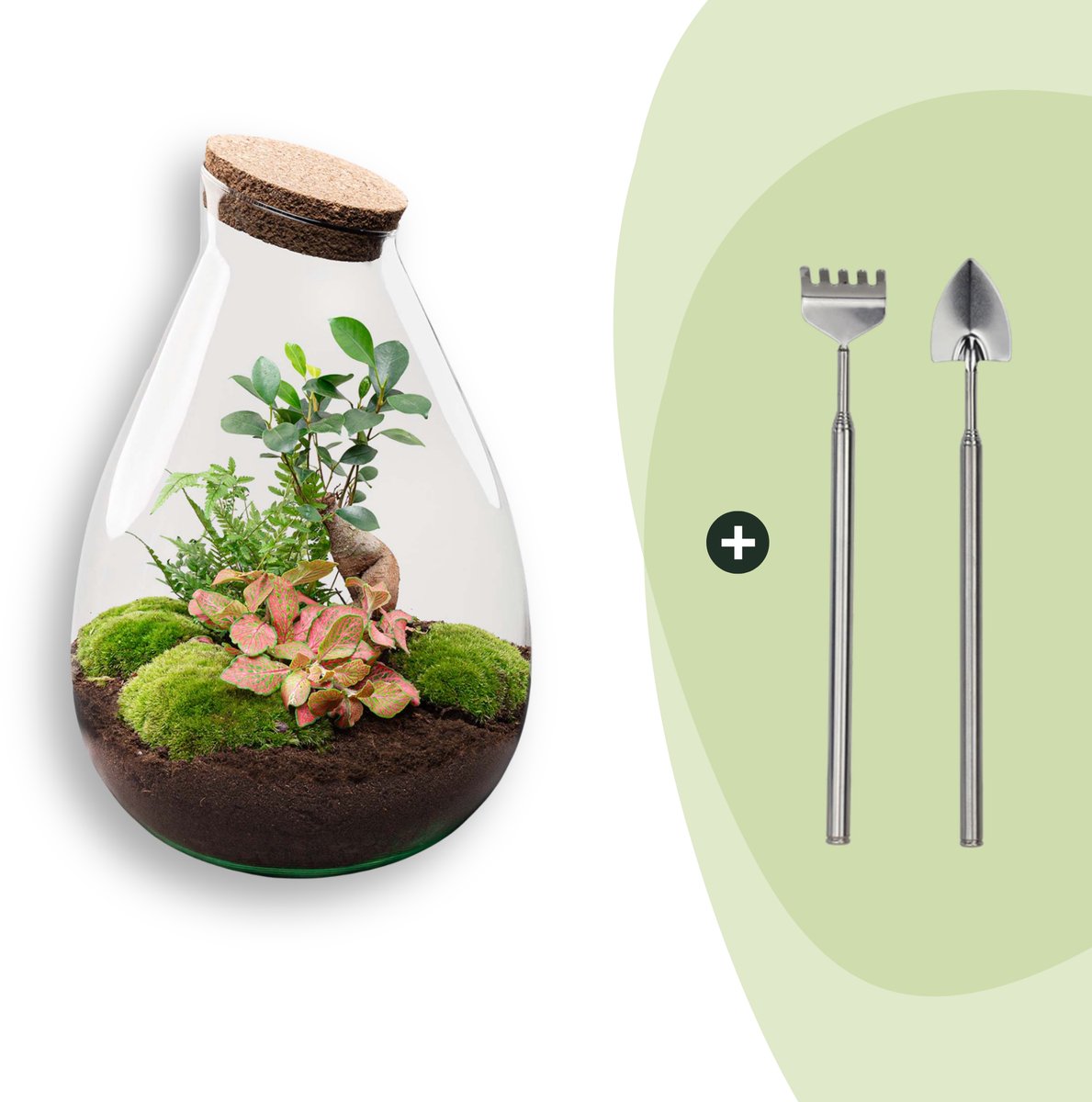 Terrarium - Drop XL - ↑ 37 cm - Ecosysteem plant - Kamerplanten - DIY planten terrarium - Mini ecosysteem + Hark + Schep