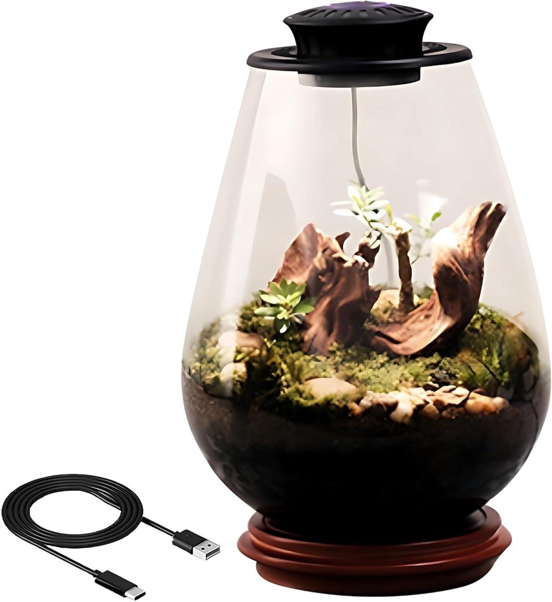 Ufo Led Kweeklamp - Glazen Plantenterrarium - Planten Kweken - Elegant Bureaustuk - 28 cm Hoogte - Zwart