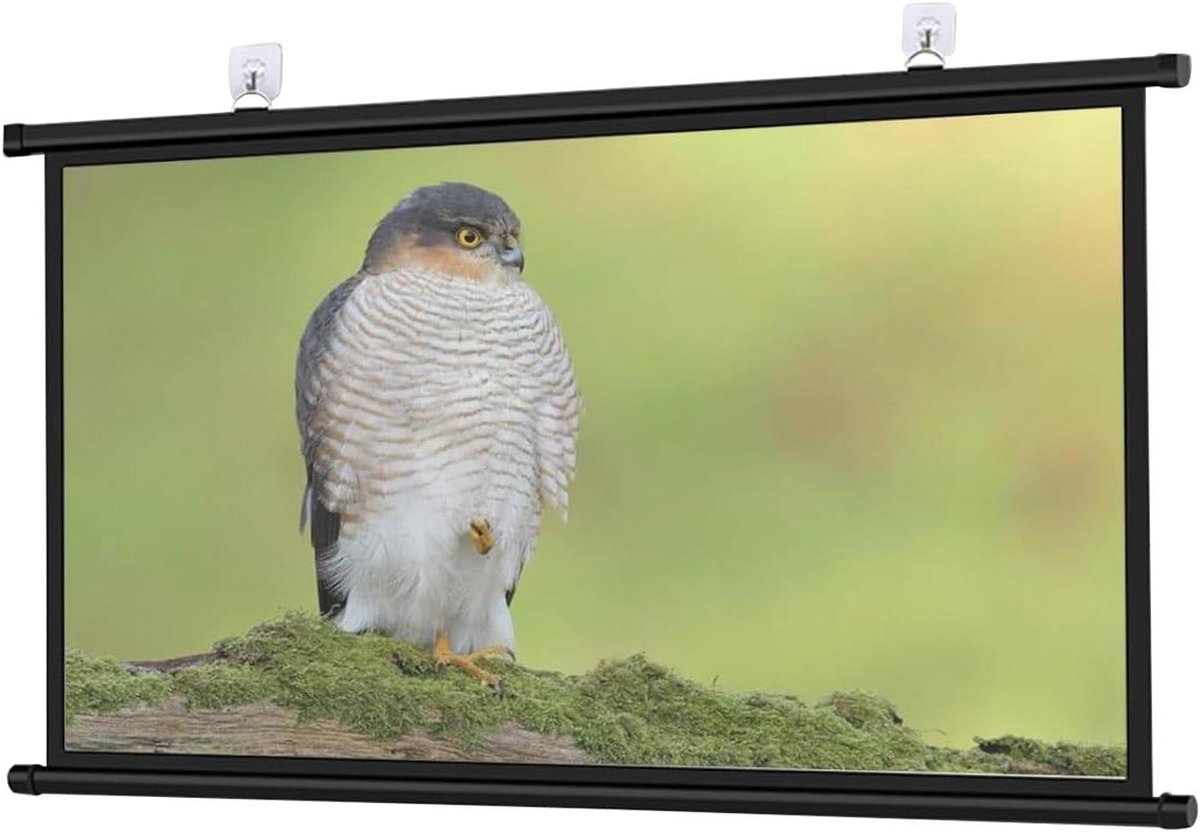 Projectiescherm - Filmscherm Draagbaar - Thuisbioscoop Presentatie - Handmatig Neerklapbaar - Tot 72 inch - Zwart