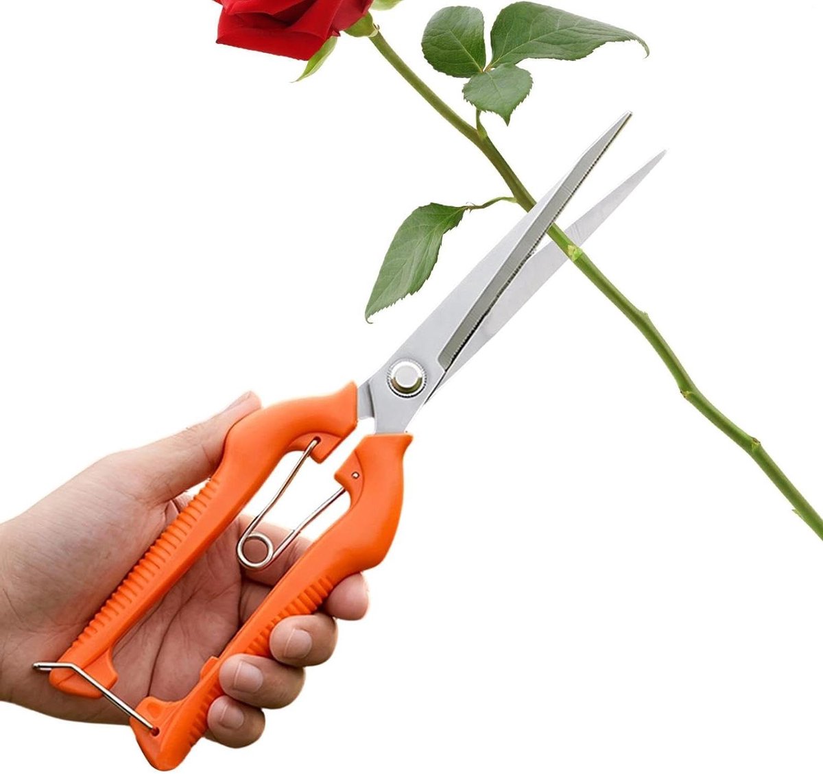 Tuinplantenschaar Roestvrijstaal - Takkenknipper Snoeischaar - Planten Snoeien Onderhouden - Ergonomisch Ontwerp - 24 cm - Zwart