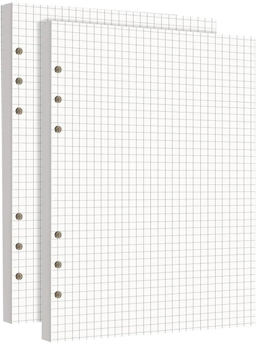 Dailygoods- Navulpapier A5 - Set van 180 vellen - 100 g/m² papier - 6-voudig geperforeerd - Geruit ontwerp - Ideaal voor notitieboeken - Notitiepapier