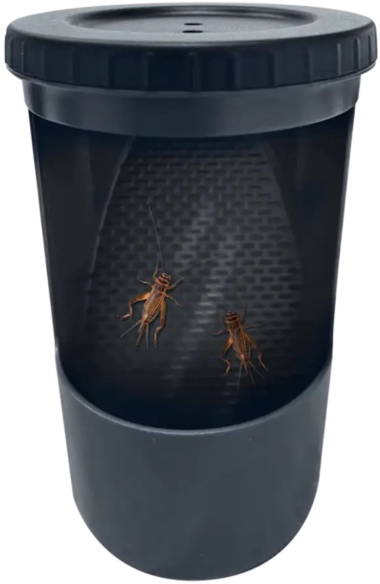 Repto Deco Insect Buffet