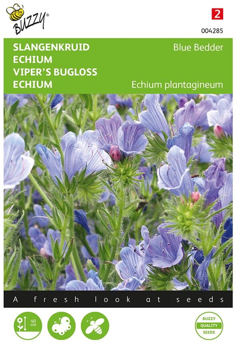 Slangenkruid Blue Bedder - Echium plantagineum