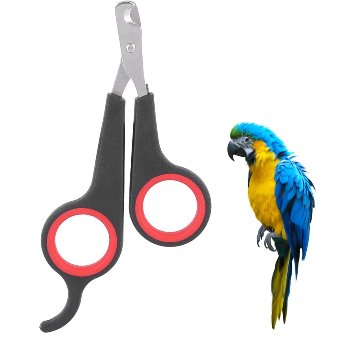 Dailygoods - RVS Nagelschaar - Voor kleine dieren - Geschikt voor verzorging - Compact formaat - Dierlijke verzorging - Veilig en eenvoudig in gebruik