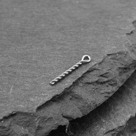 Dailygoods- Boilie Pins 60 Stuks - 8 Mm Roestvrij Staal - Geschikt voor 6-10 Mm Boilies - Duurzaam en Corrosiebestendig - Lichtgewicht en Compact - Spiraalontwerp voor Stevige Bevestiging - Aasnaalden van Dailygoods — afbeelding 2