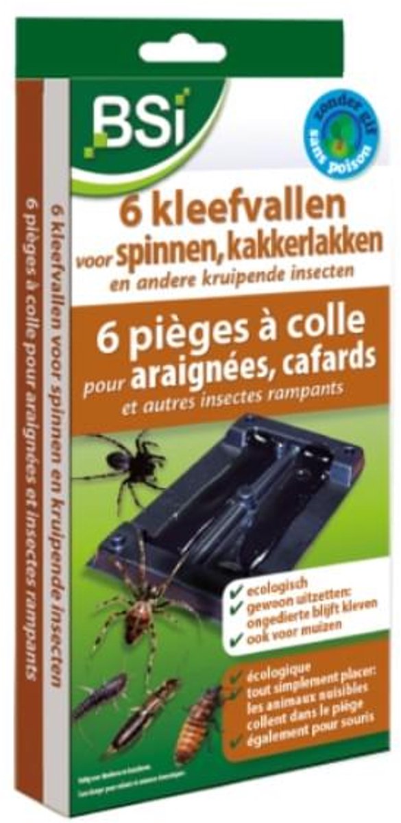 BSI Kleefval voor spinnen (6 stuks) - Effectieve Insectenval - Met gratis cheatsheet