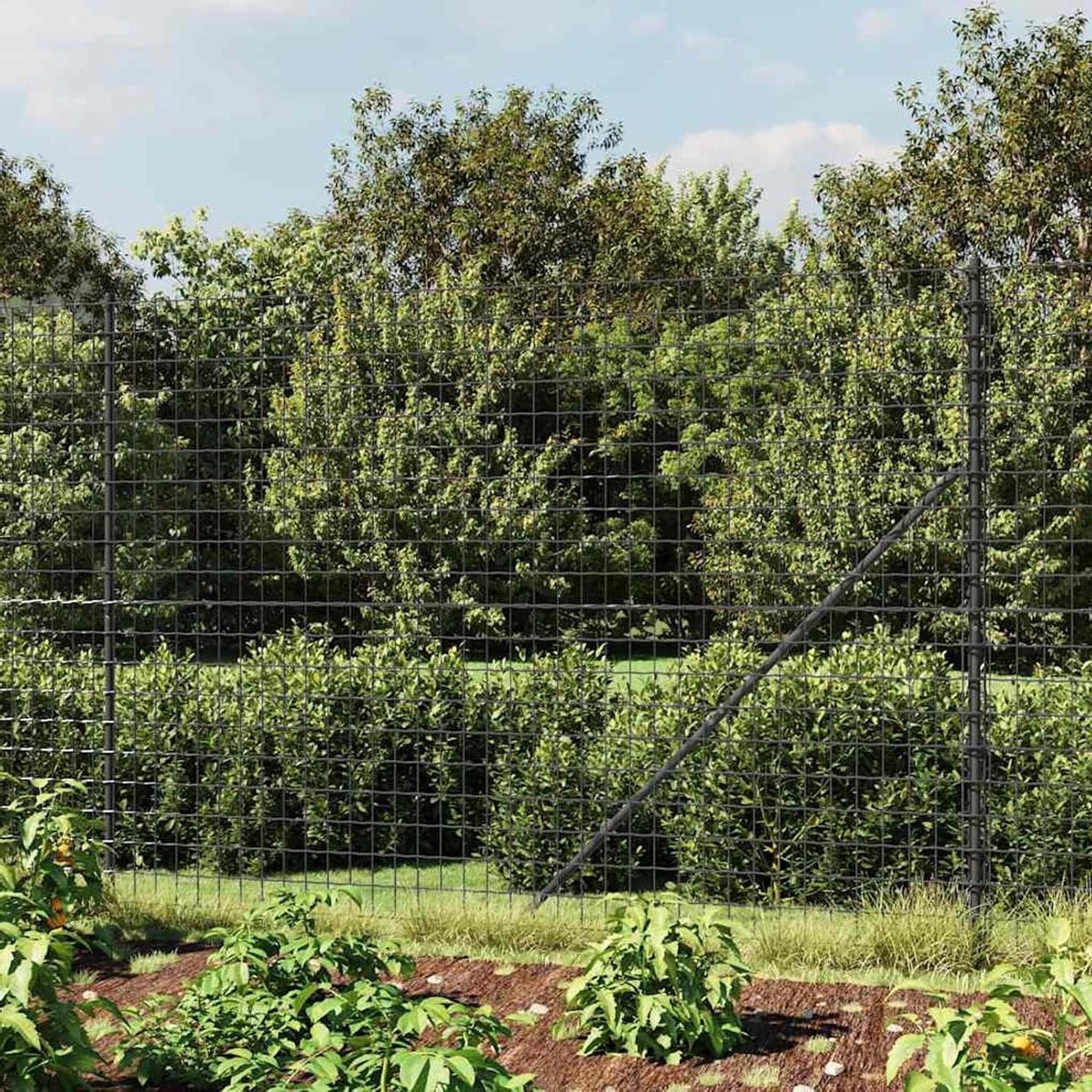 Metalen hek - Tuinpoort buiten - Perceel afbakenen - Corrosiebestendig PVC - 2 x 25 m - An