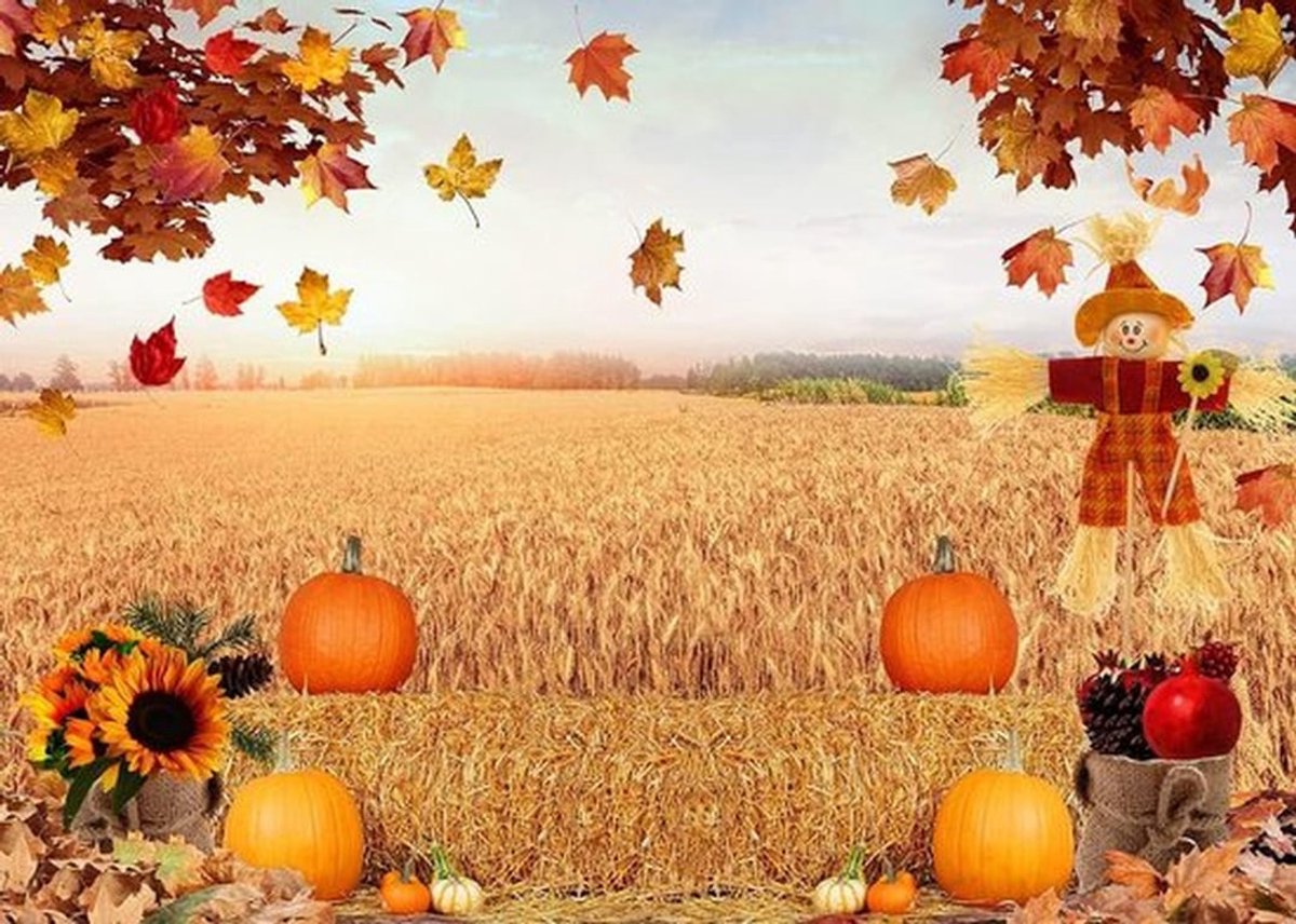 Herfst Achtergrond Oogst Hooi Zonnebloem Foto Studio Cabine Accessoires - 7x5FT