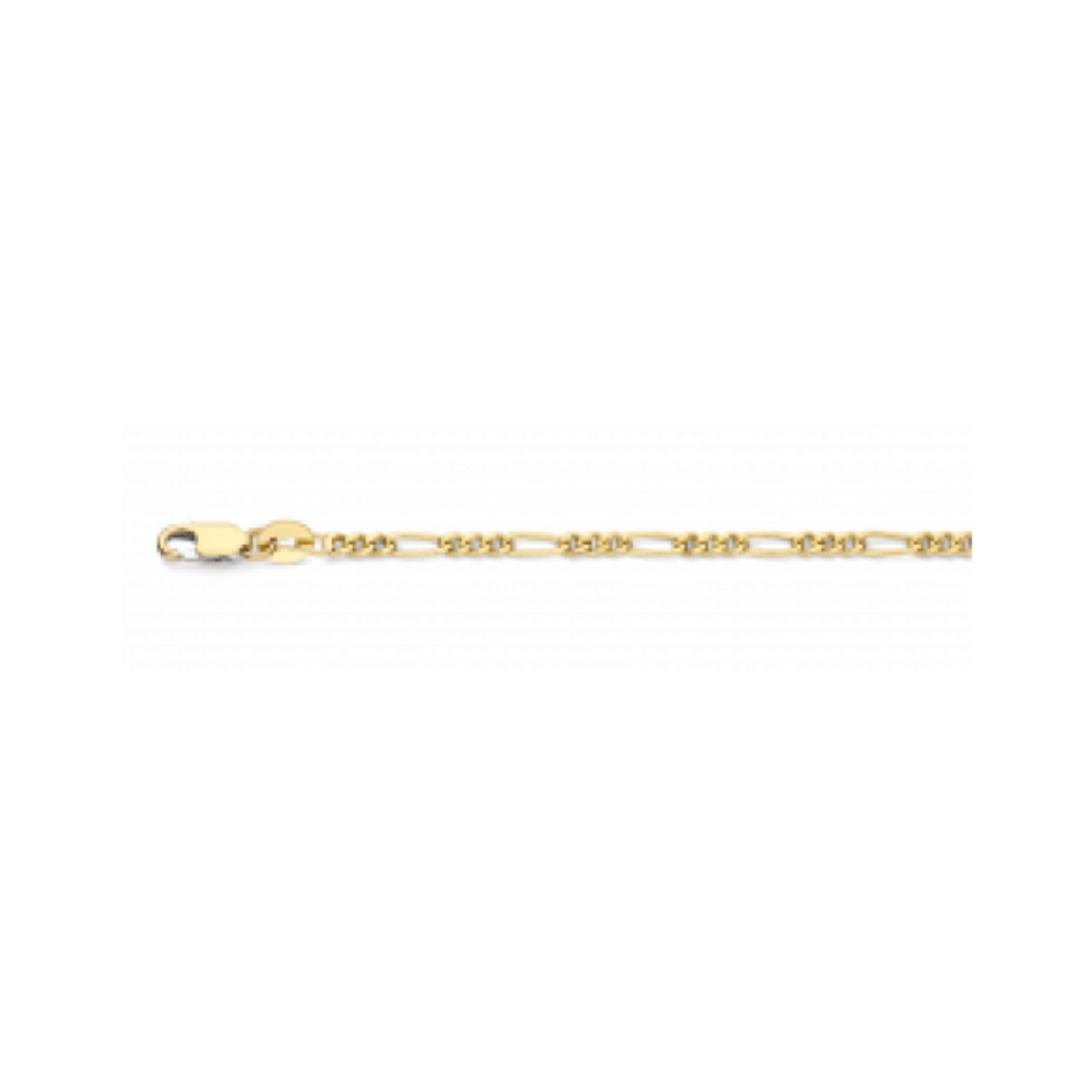 Fjory Ketting 40-F02,360 14 Karaat Goud 60