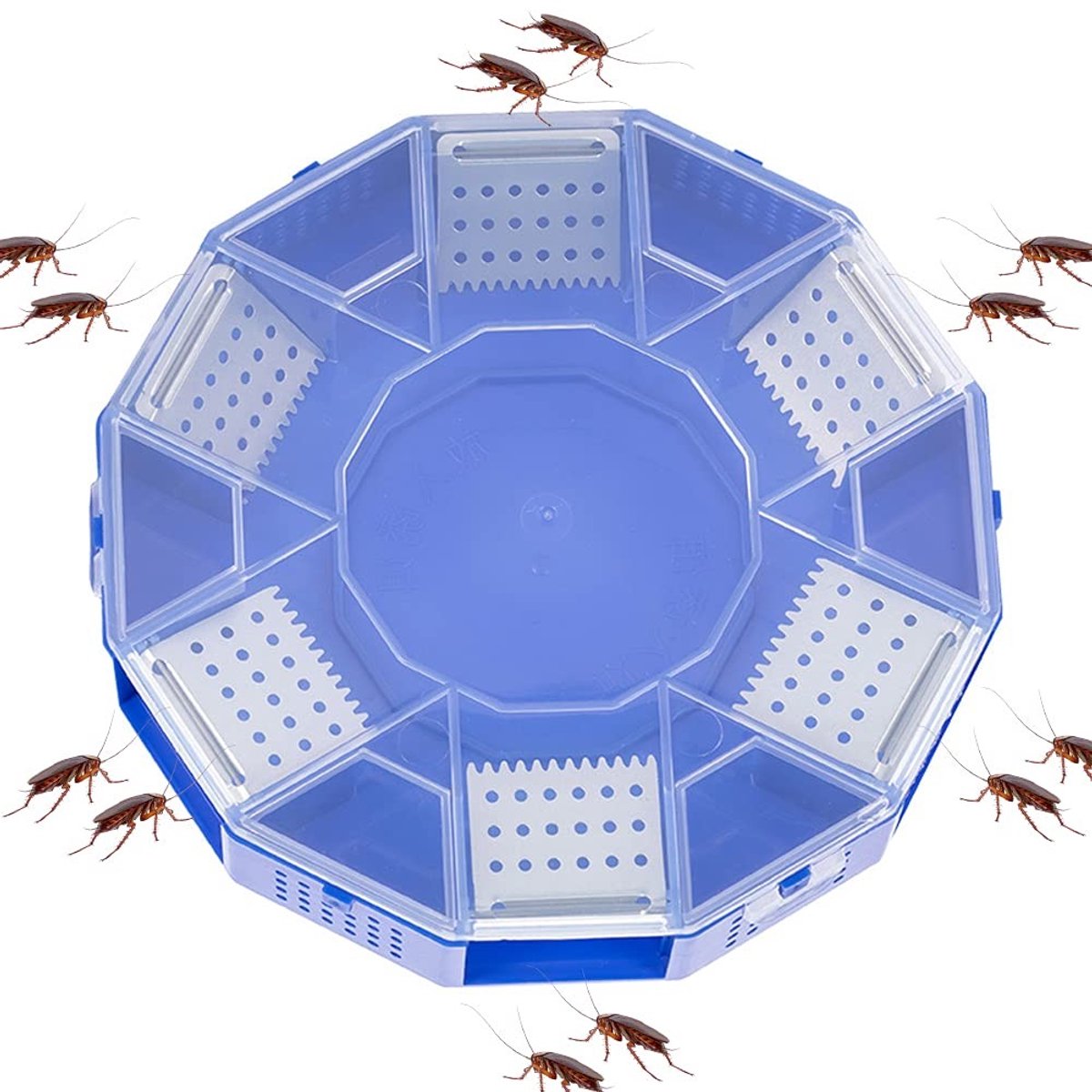 Dailygoods - Dailygoody - Kakkerlakkenval - Ongediertebestrijding - Niet giftig - Blauw - Herbruikbaar - Milieuvriendelijk - Geschikt voor keukens en badkamers