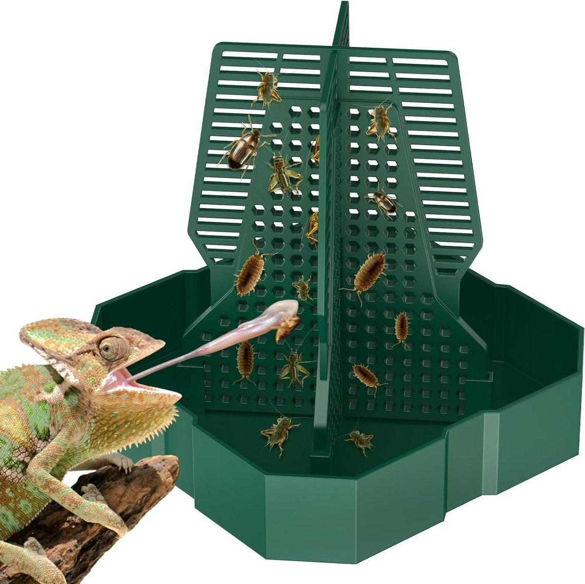 Klimbare reptielenvoeders van plastic voor baardagamen, hagedissen, gekko's en kikkers - ideaal insectenvoer en eenvoudig te reinigen