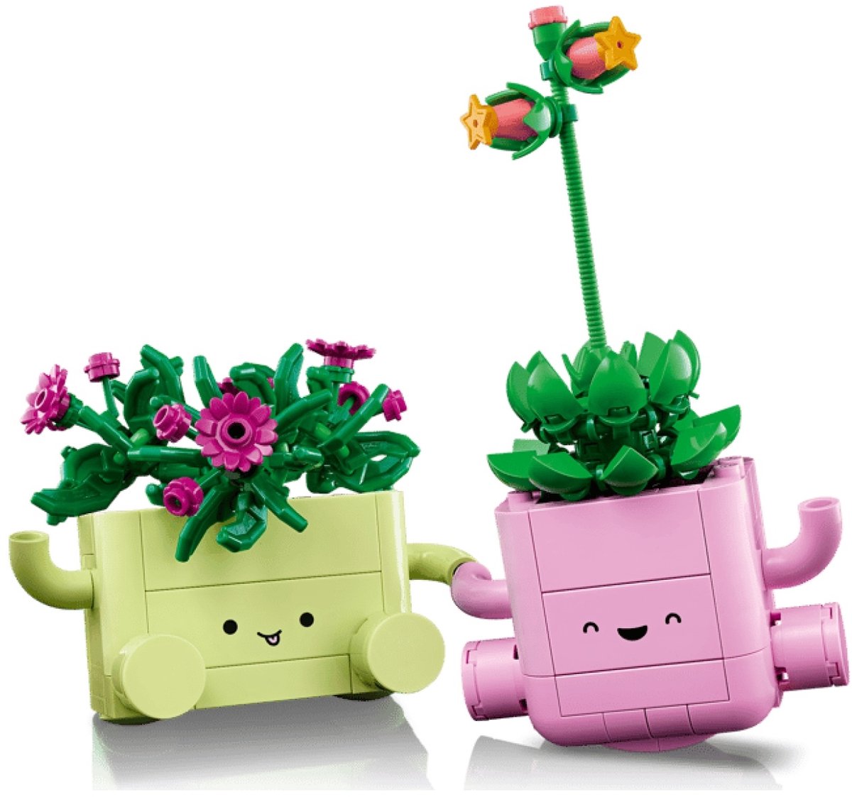 LEGO Botanicals - Schommelende Plantjes Bloemen Bouwpakket voor Kinderen - 11506 — afbeelding 17