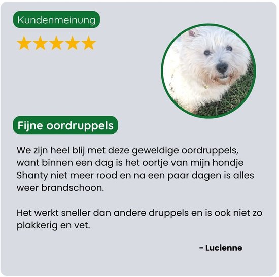 Klantenrecensie met 5 sterren voor fijne oordruppels van TraumaPet, met foto van een witte West Highland Terrier.