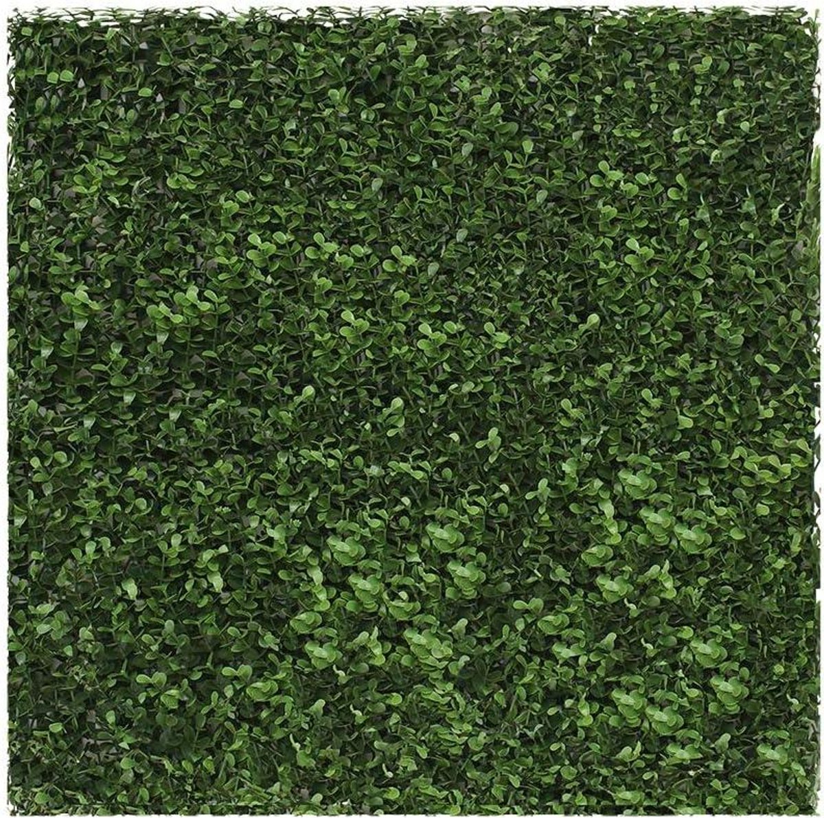 Kunstmatige Klimop Hekken - Privacy Scherm - Tuin Decoratie - UV & Weerbestendig - 6 stuks 50x50cm - Groen