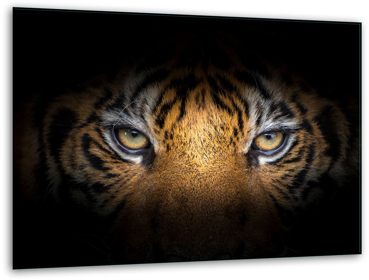 TMK ArtDeko - Snijplank - Glas - 40x30cm - Tijger