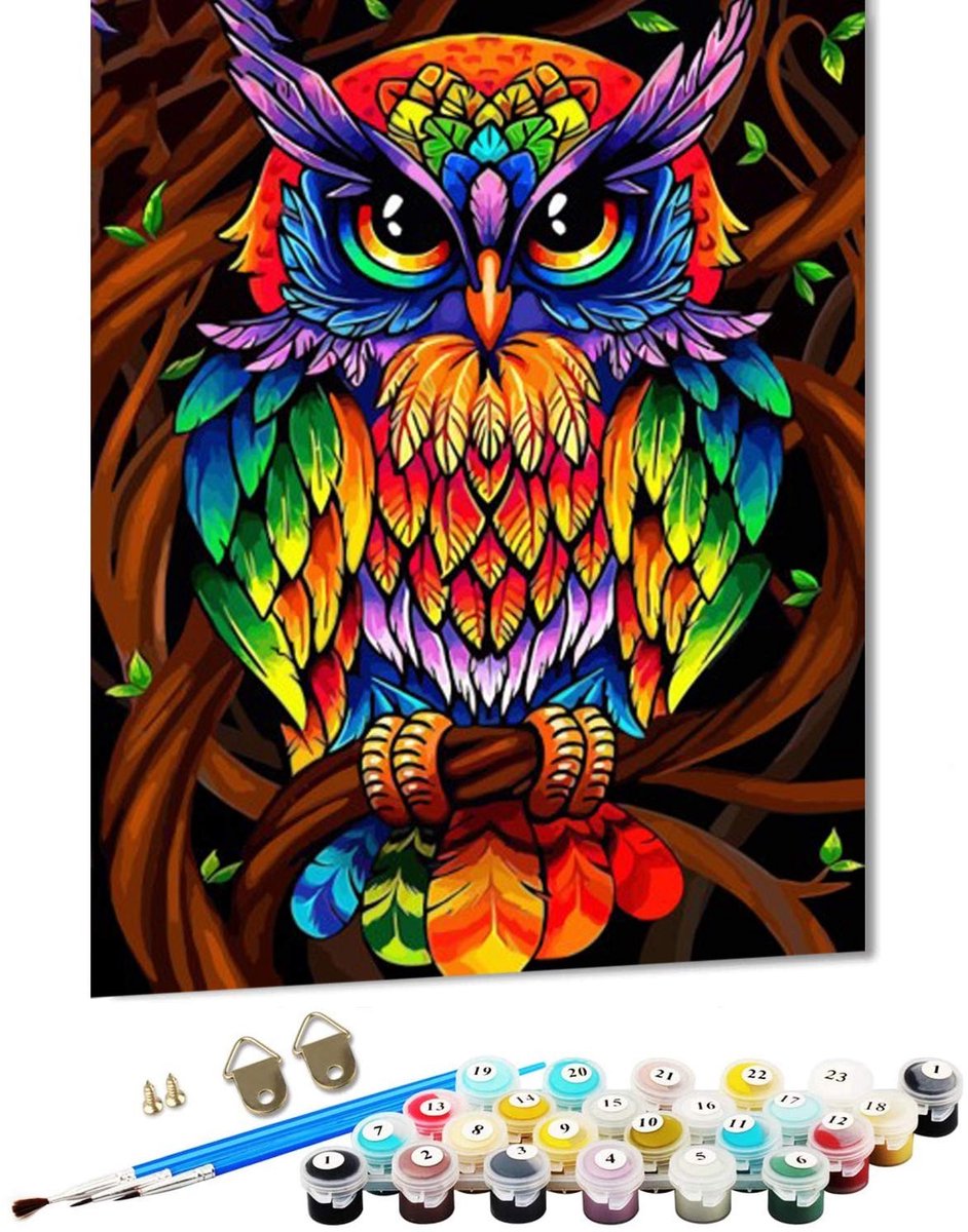 Dailygoods- Schilderen op Nummer - Acrylverfset voor Volwassenen - Doe-het-zelf Olieverfschilderij - 40 x 50 cm - Milieuvriendelijk - Geschikt voor Beginners - Doe-het-zelf Schilderij