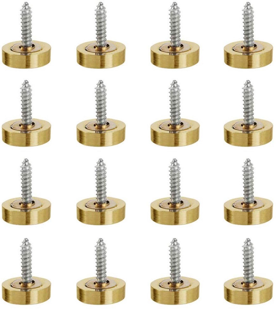 Dailygoods- Spiegelschroeven 16 stuks - Roestvrijstalen Decoratieve Doppen - Bevestigingsmiddelen - Schroefbevestiging - Hoogwaardig 304 Roestvrij Staal - Voor Glazen Meubels - Afdekdoppen