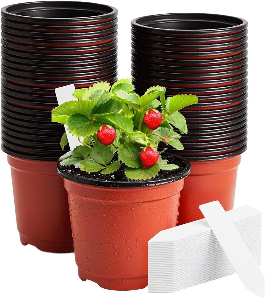 Kweekpotjes Set - Plantenbakjes Bloemenzaadjes - Planten Kweken - Flexibel Duurzaam Materiaal - 100 Stuks - Steenrood