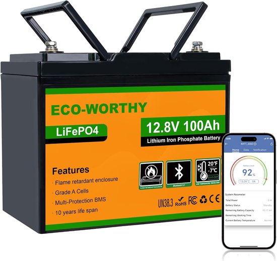 Lithium Batterij - LiFePO4 Accu - Camper Caravan - Bluetooth BMS - 12V 100Ah