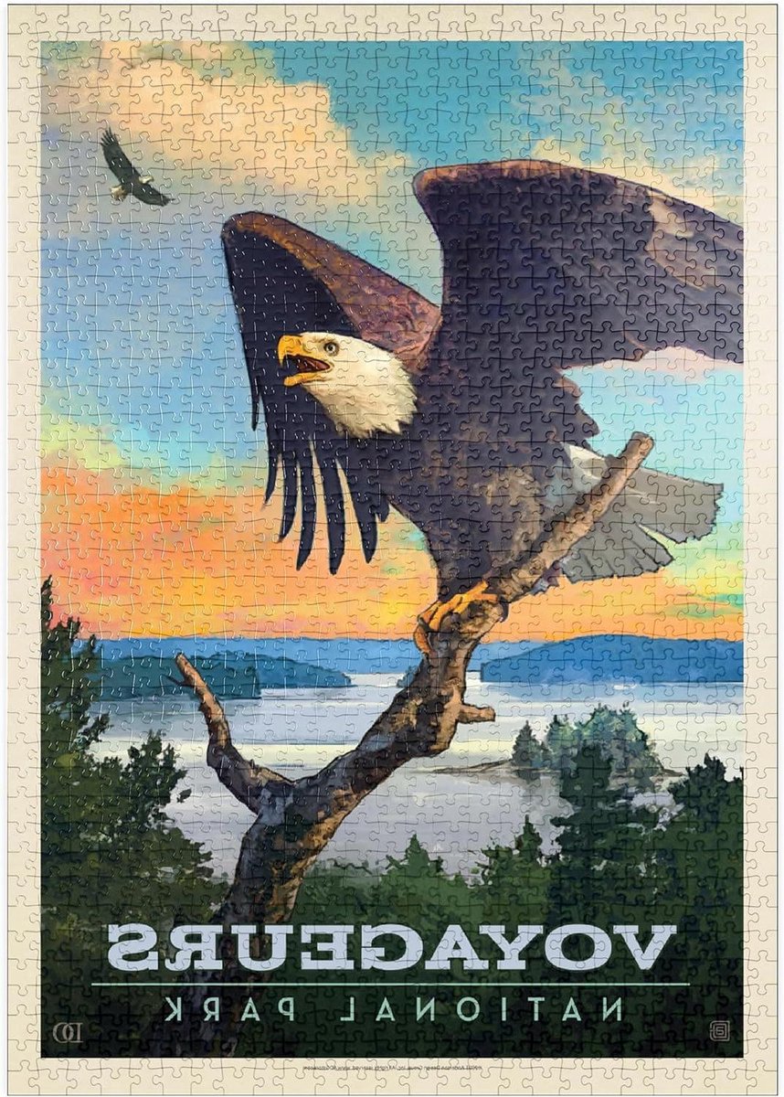 Legpuzzel Zeearend - Puzzel National Park - Ontspannen Vrije Tijd - Hoge Resolutie Print - 1000 Stukjes - Meerkleurig