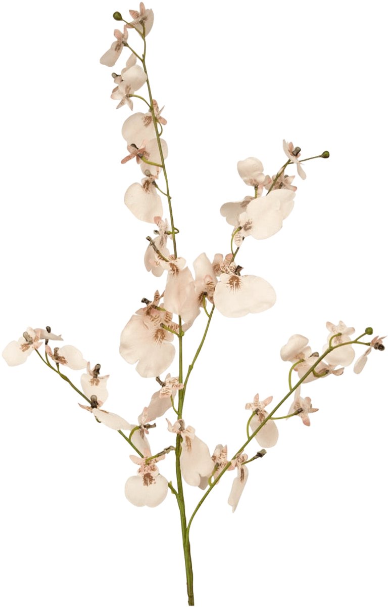 Easyplants | Kunsttak Orchidee 80 cm roze | Zijde | Nepbloemen | roze | Onderhoudsvrij | Kant-en-klaar