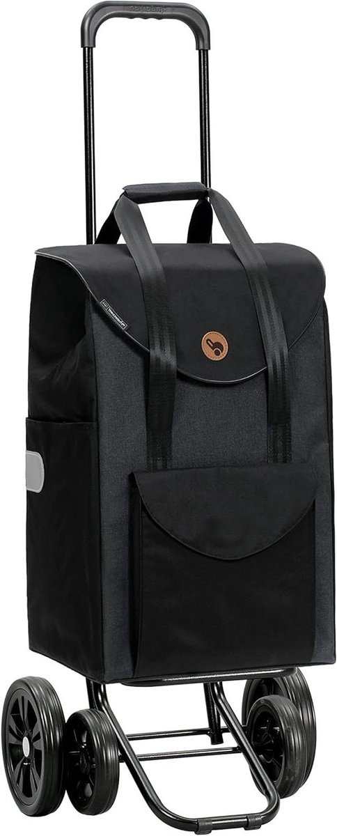 Boodschappentrolley - Winkelwagen - Zorgeloos winkelen - Vier wielen - 42 x 117 x 37 cm - Zwart