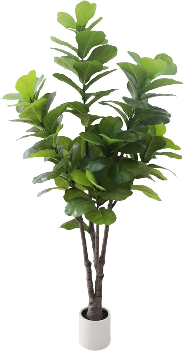 Happiq Kunstmatige Fiddle Leaf Vijgenboom - Voor Binnen & Thuiskantoor - Faux Ficus Lyrata - Met Witte Plantenbak - Groen-183 cm