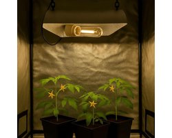 Weedness Kweeklamp Set 250 Watt NDL voor Bloei Fase – Binnenkweek Plantenverlichting Plantenlamp Box Natrium Damplamp NDL HPS