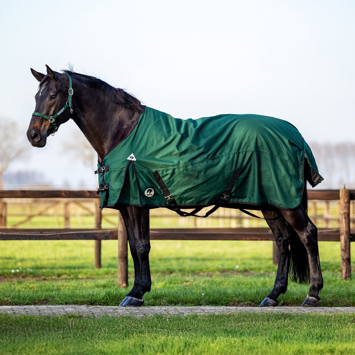 MASTER 1200D Outdoordeken 100gr Donkergroen 175