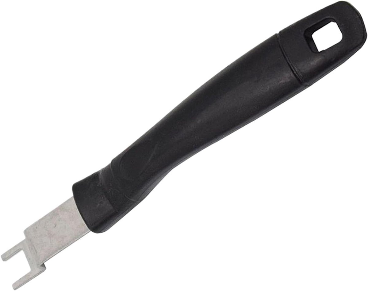 Grill Rooster Lifter - BBQ Accessoire - Buiten Koken - Roestvrij Staal - 20.7 cm - Zilver
