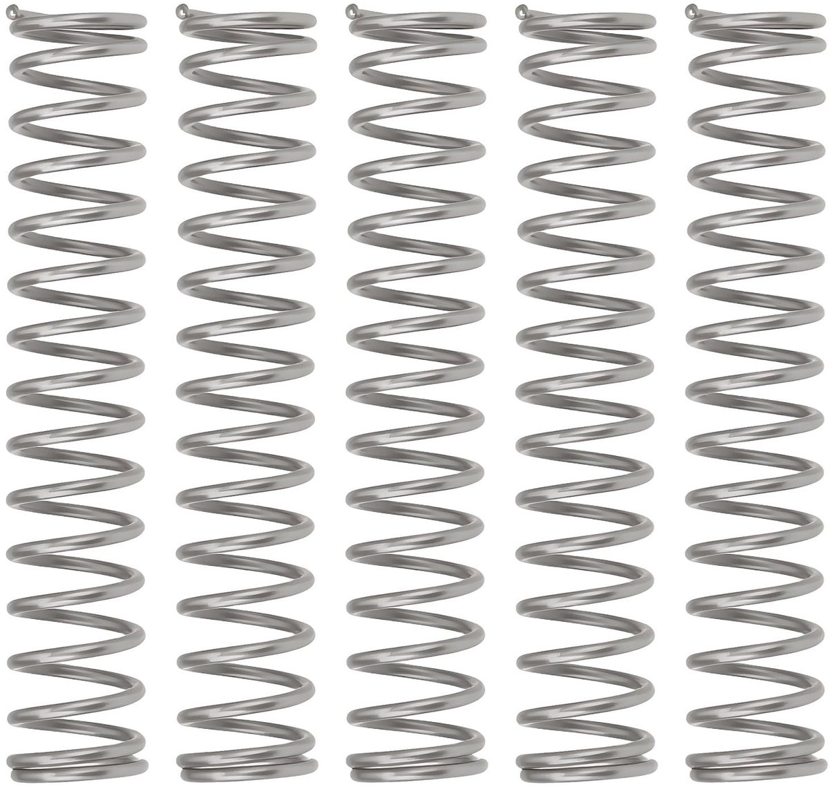Dailygoods - Set van 100 Compressieveren RVS voor Diverse Toepassingen