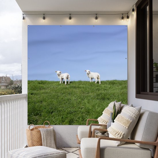 Tuinposter 200x200 cm - Tuindecoratie Twee lammetjes die zich op een grasdijk bevinden - Poster voor in de tuin - Buiten decoratie - Schutting tuinschilderij - Tuindoek muurdecoratie - Wanddecoratie balkondoek